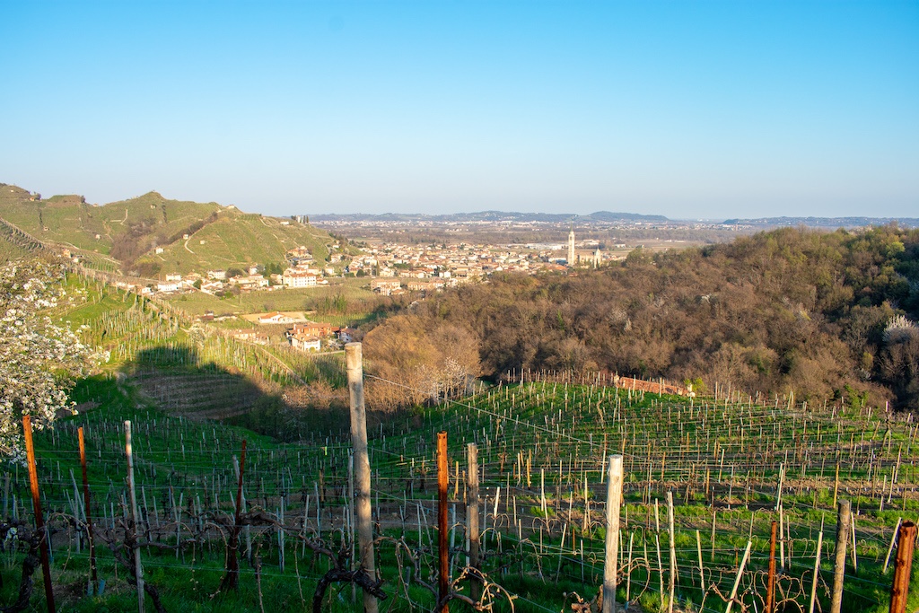 sloping vineyard views and town below at Riva Grande