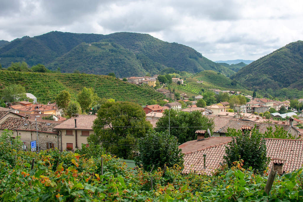 Guia vineyard views with rooftops in italy